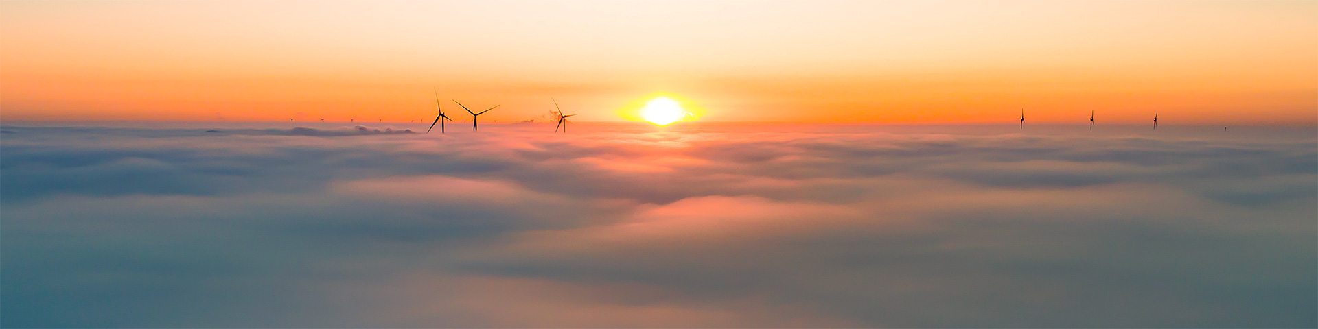 ������Ե(�й���)�ٷ���վ