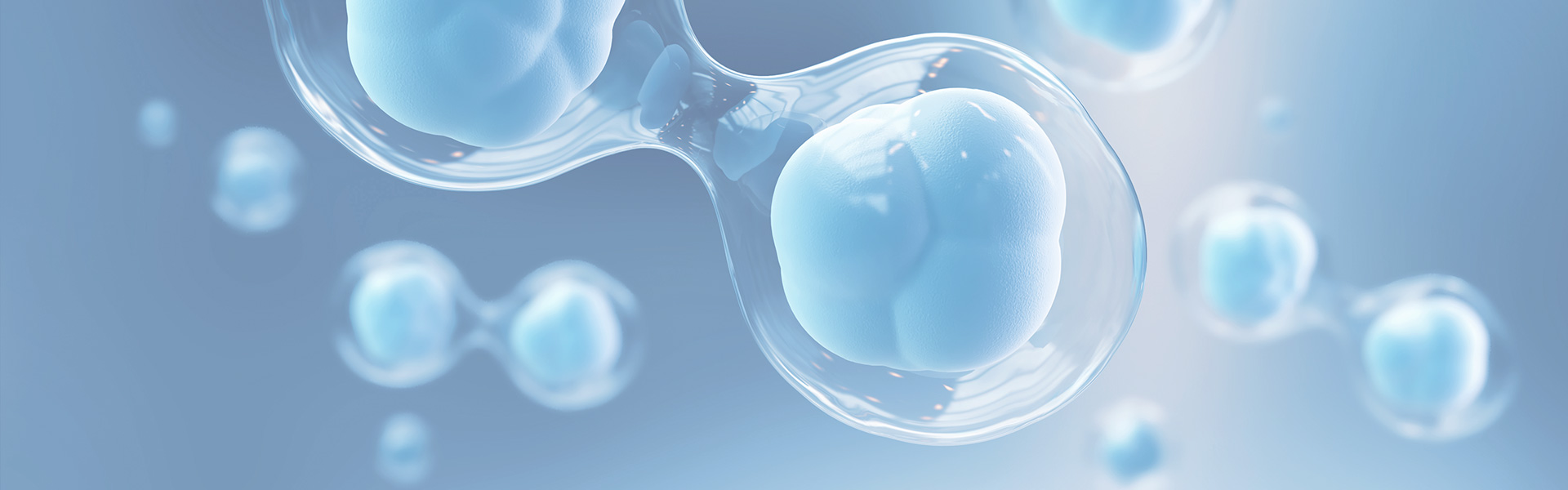 ������Ե(�й���)�ٷ���վ