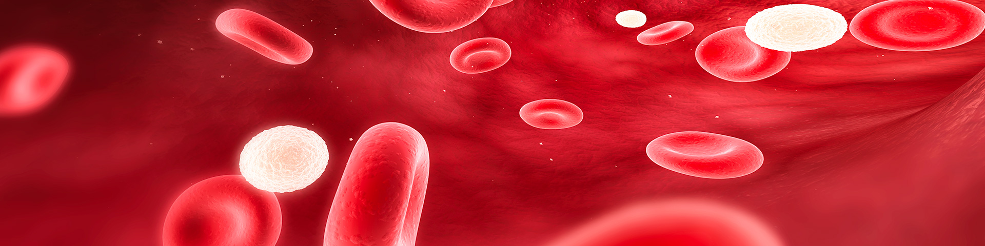 ������Ե(�й���)�ٷ���վ