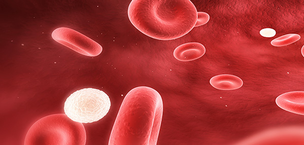 ������Ե(�й���)�ٷ���վ