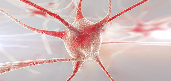 ������Ե(�й���)�ٷ���վ