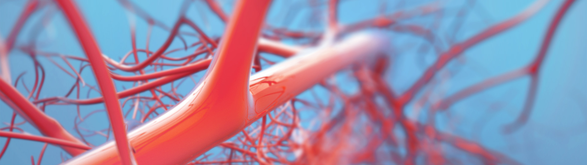 ������Ե(�й���)�ٷ���վ