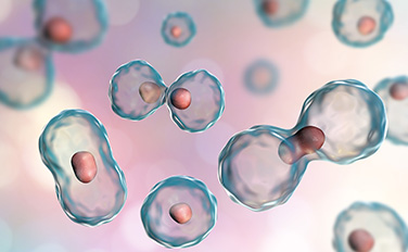 ������Ե(�й���)�ٷ���վ