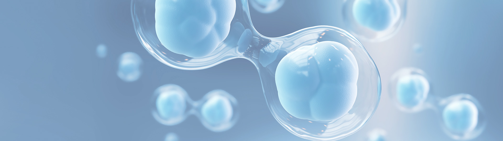 ������Ե(�й���)�ٷ���վ