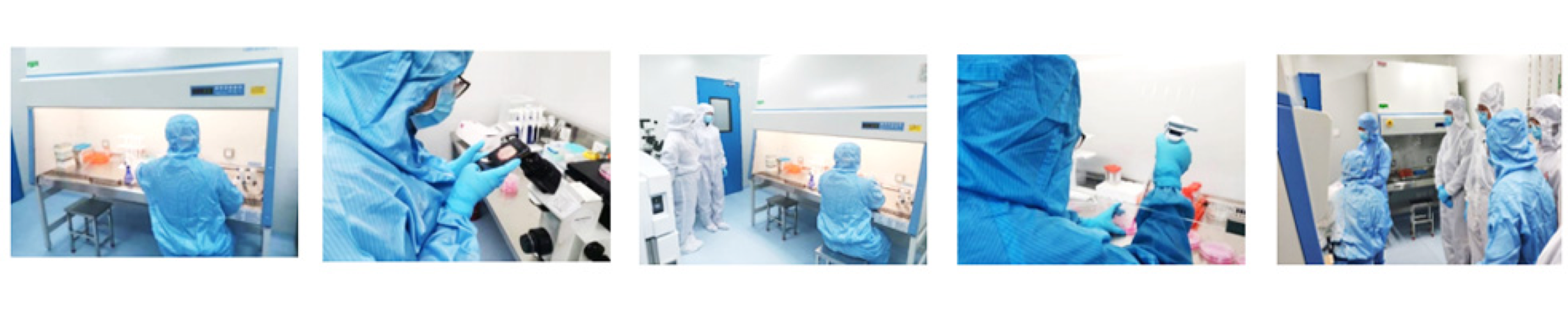 ������Ե(�й���)�ٷ���վ