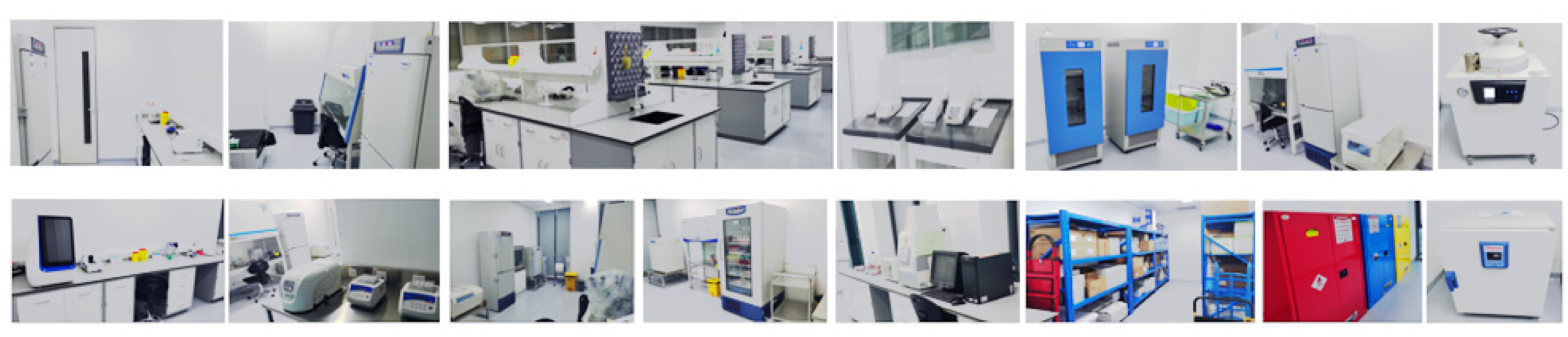 ������Ե(�й���)�ٷ���վ