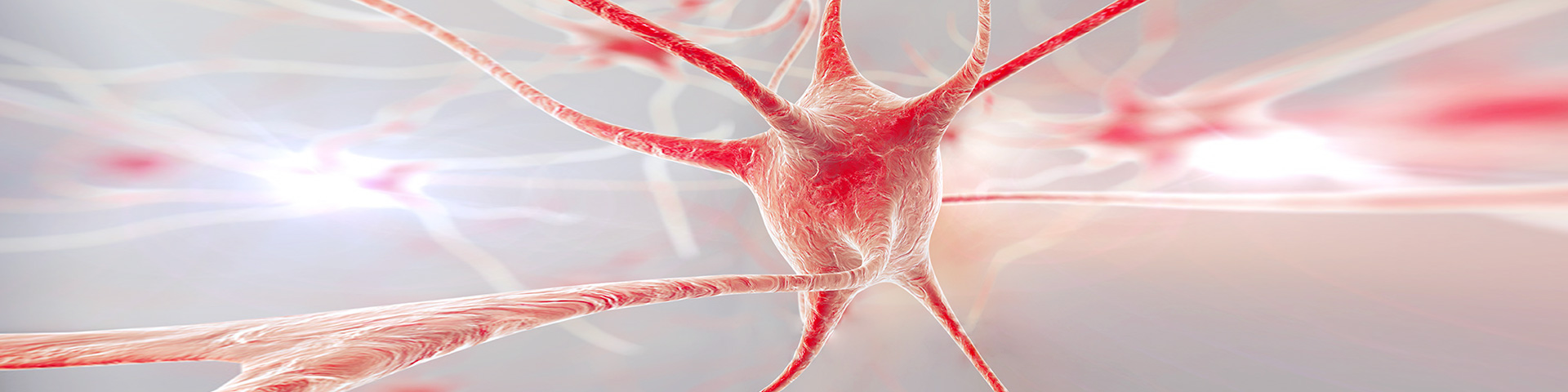 ������Ե(�й���)�ٷ���վ