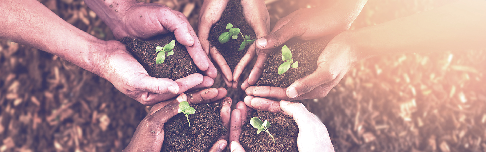 ������Ե(�й���)�ٷ���վ